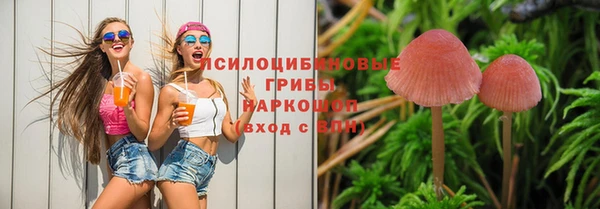 мдпв Баксан