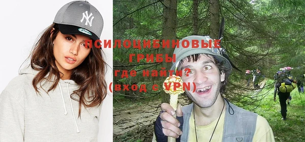 винт Аркадак