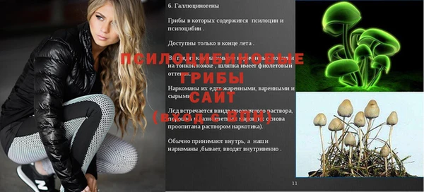 спиды Балабаново